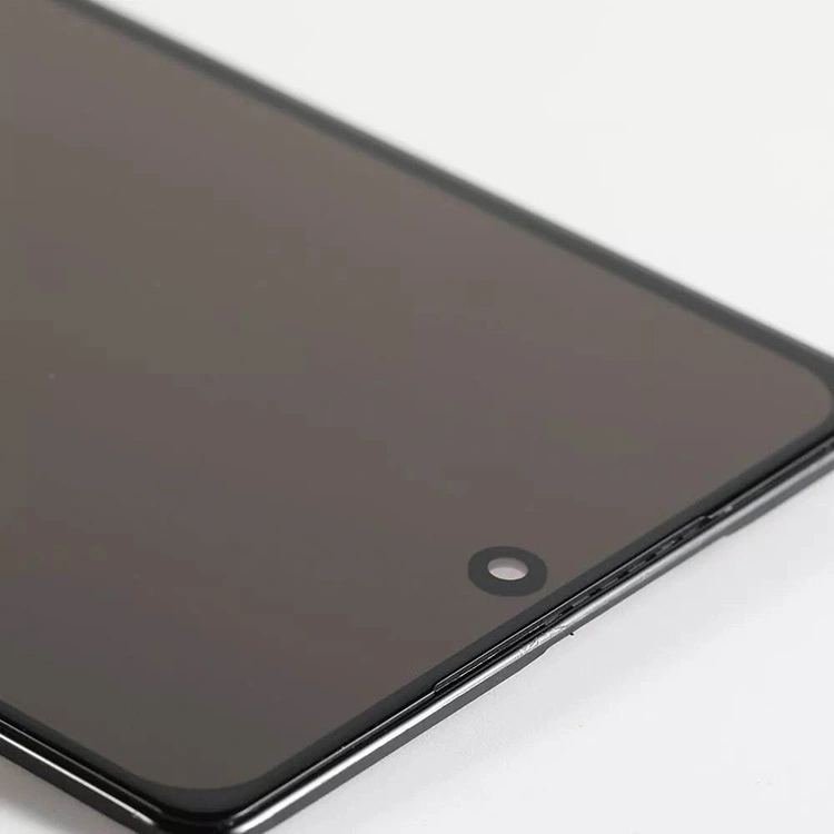 Mga screen ng Pixel 6 LCD