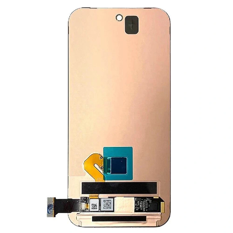 Mga screen ng Pixel 9 LCD